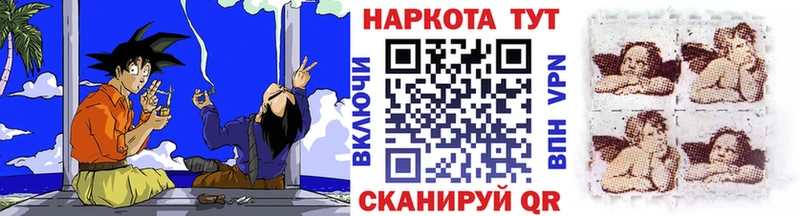 Альфа ПВП Елизово