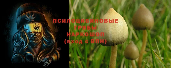 винт Балахна