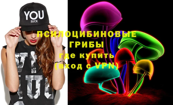 прущие грибы Лысьва