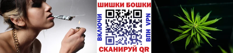 Бошки марихуана план  Купить где  Елизово 